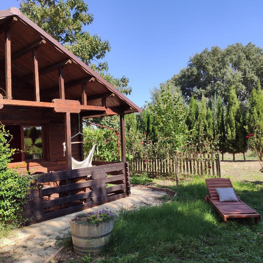 Pago De Tharsys Guest House Рекена Екстериор снимка